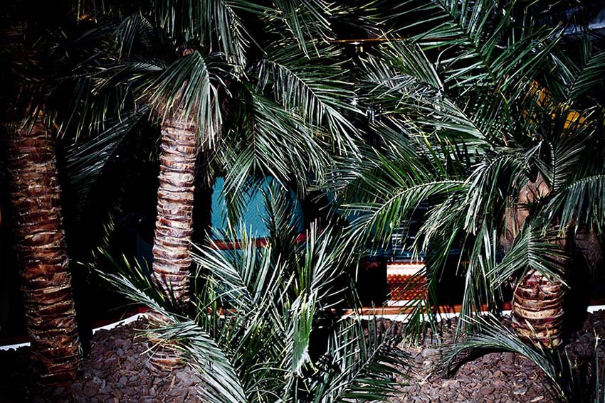 11_H_008_208-copia copia.jpg