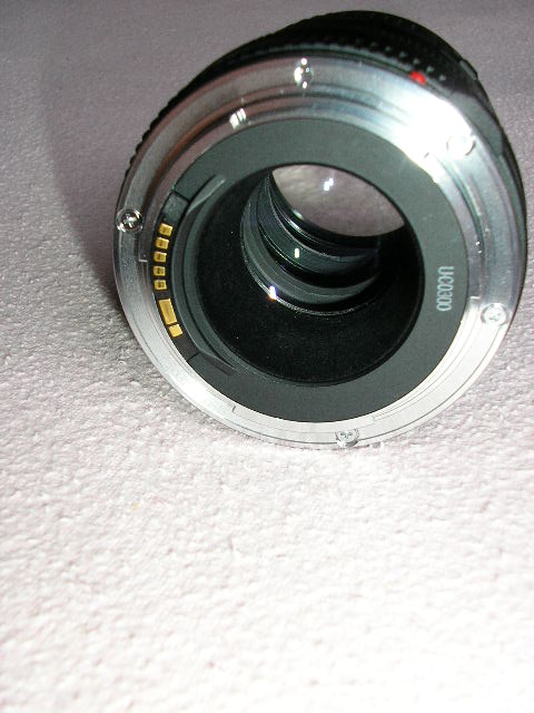 135 softfocus (1).JPG