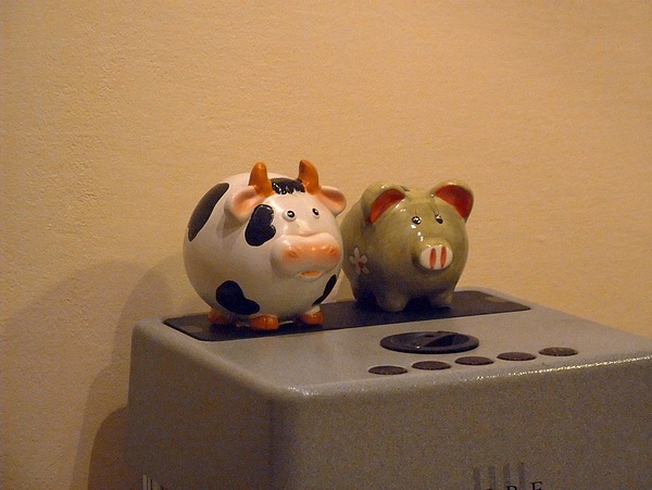 1600iso s7000 rid.jpg