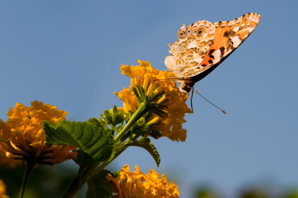 184_8405a.jpg