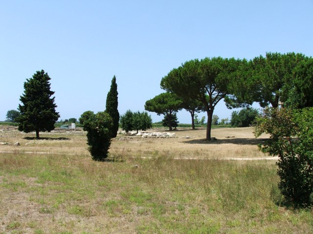 20050722-paestum640x480.jpg