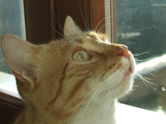 2008_0210CLAUDIO0045.JPG