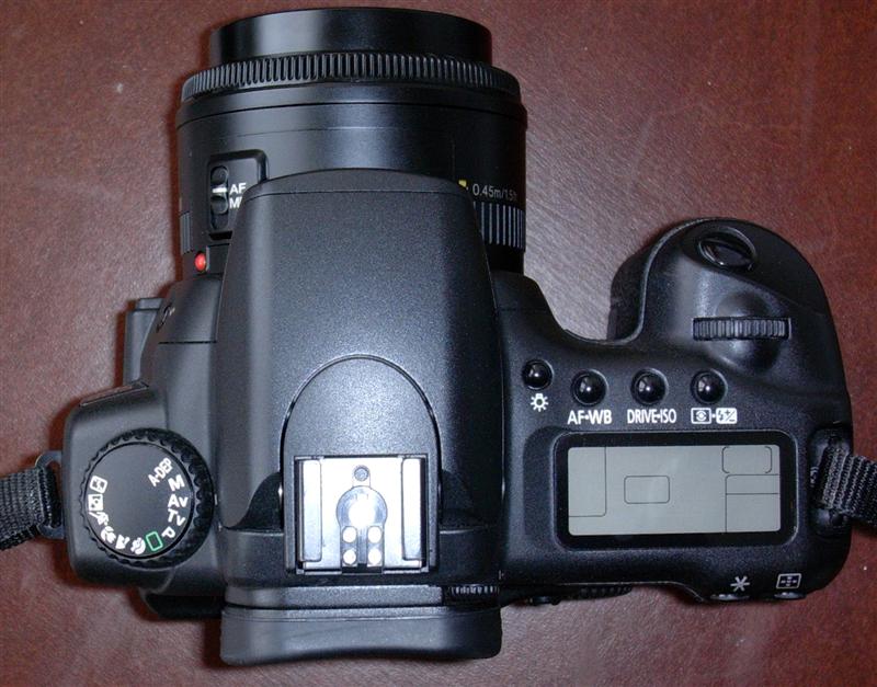 20d_2 (Medium).jpg
