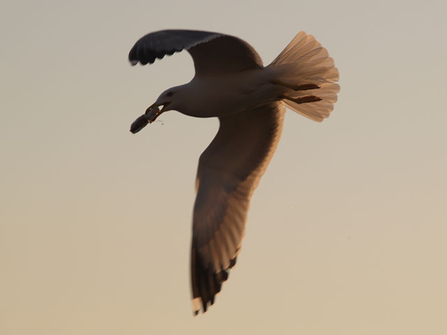 22012005 049 Originale.jpg