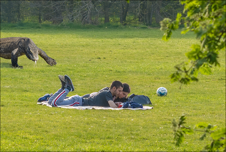 280520_4.jpg