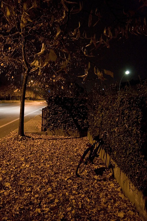 2a Visione notturna web.jpg