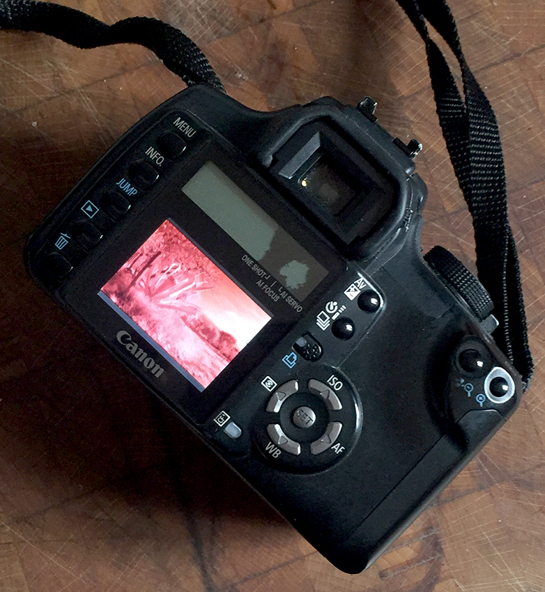 350 retro acceso bas.jpg