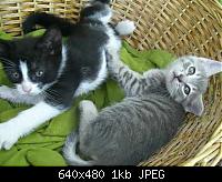 50252087326bb0074e7jq6.jpg