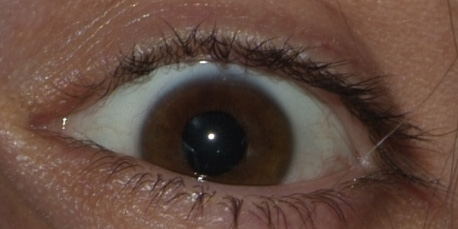 6Mp_crop135%b.jpg