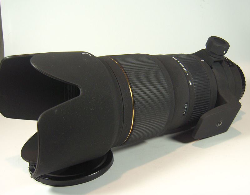70-200 D.JPG