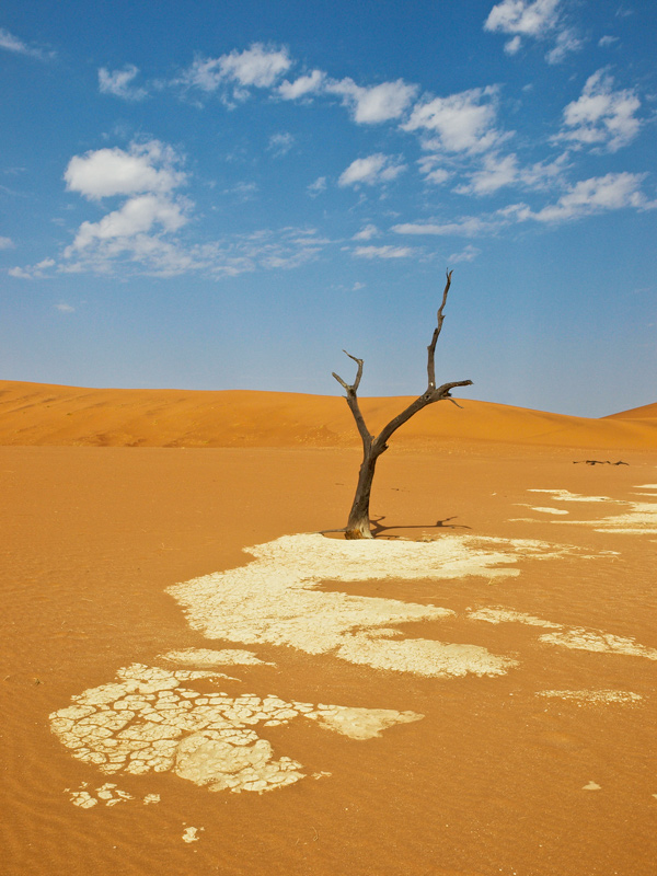 8 Dead-Vlei-aloneweb.jpg