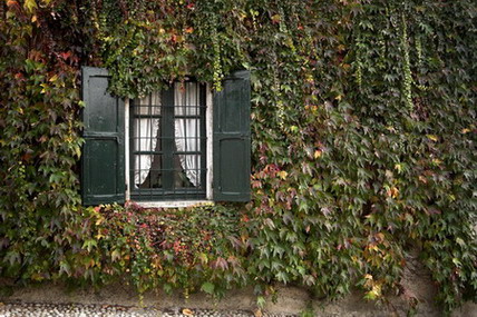 (1-200 s _ f-4 _ 800 ISO _ 41 mm) IMG06.jpg