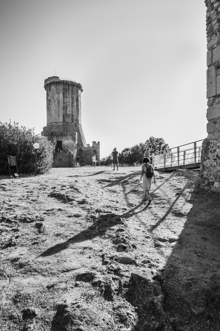 _1300559.JPG