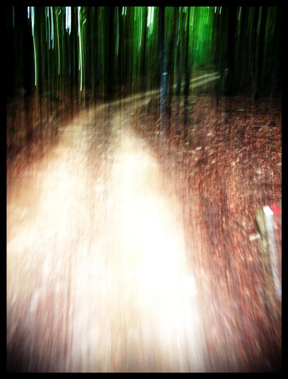 _8271077 copia (Large).jpg