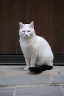 _DSC0119 - Version 3 (1).jpg