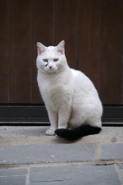 _DSC0119 - Version 3 (2).jpg