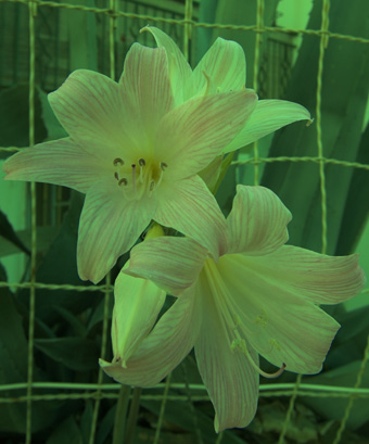 _DSC0288-01 copia.jpg