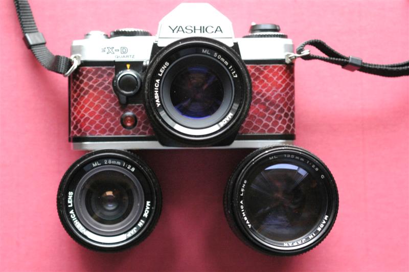 _DSC1683 (Medium).JPG