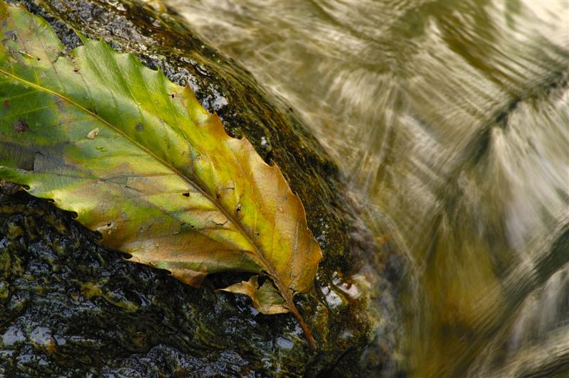 _DSC2972 (Medium).jpg