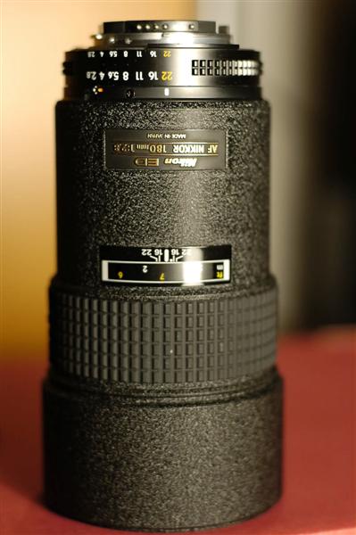 _DSC3264 (Medium).JPG