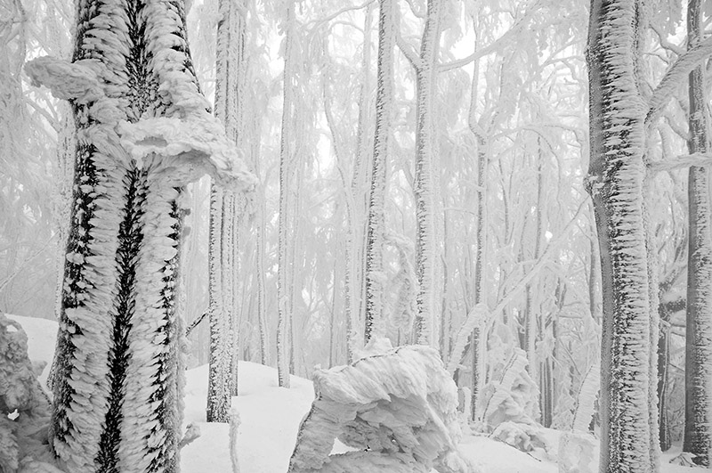 _DSC5302 copia.1.jpg