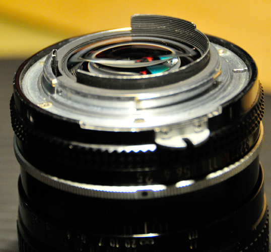 _DSC8220.JPG