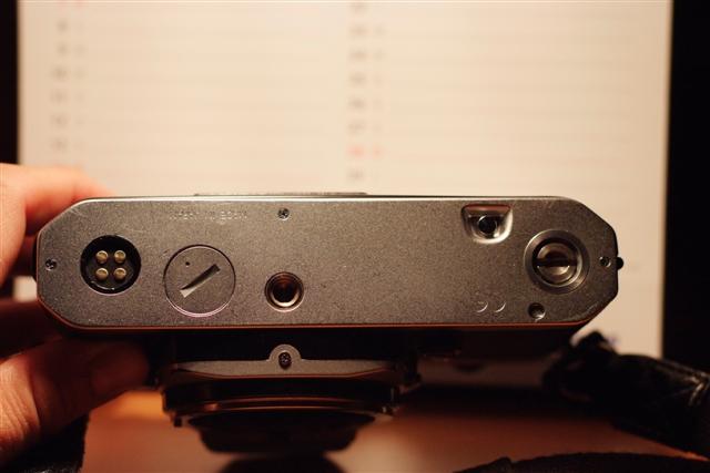 _DSF0848 (Small).JPG