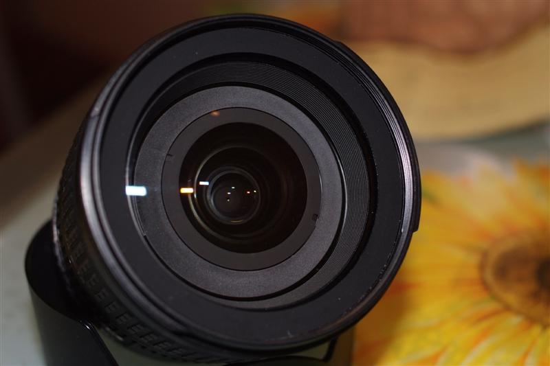 _DSF1162 (Medium).JPG