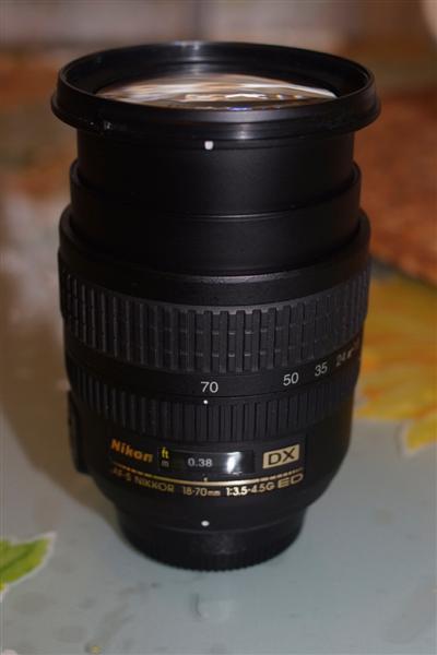 _DSF1164 (Medium).JPG