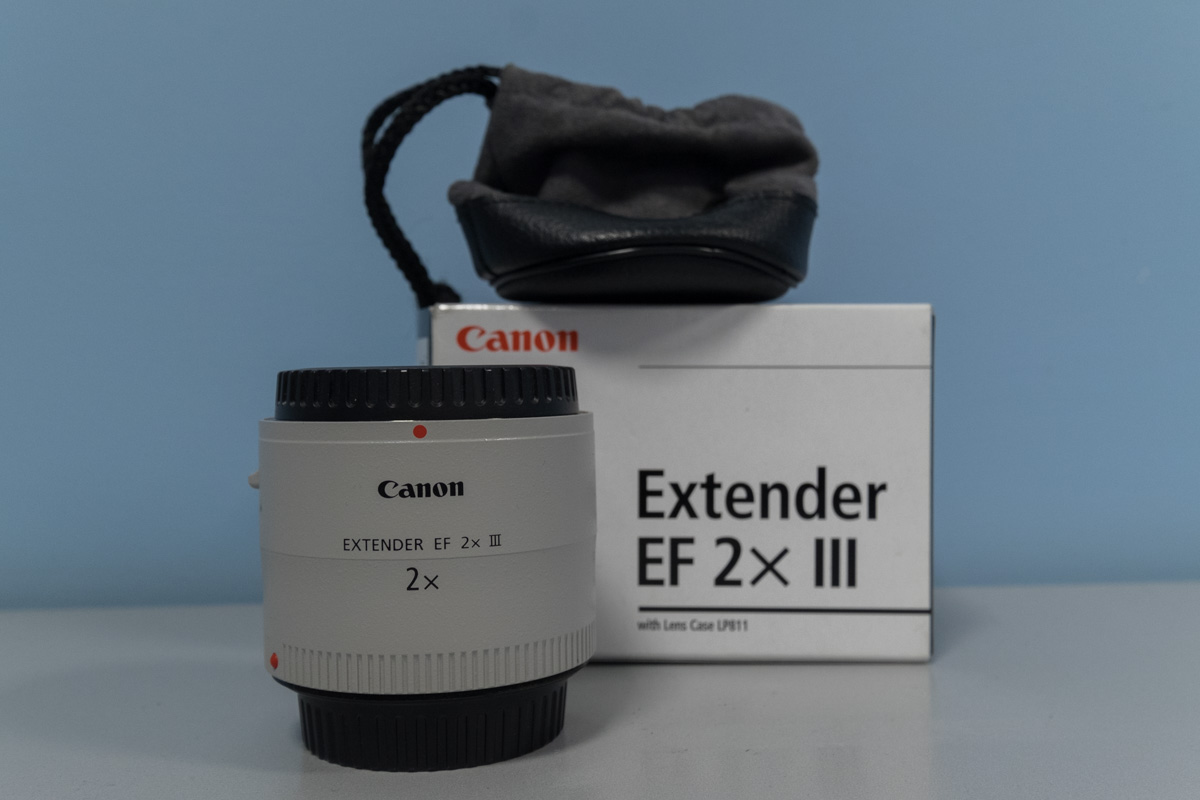 _ELE3372.jpg