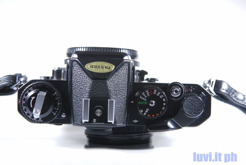 _LUV0590 [800x600].jpg