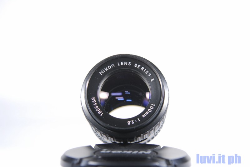 _LUV0599 [800x600].jpg