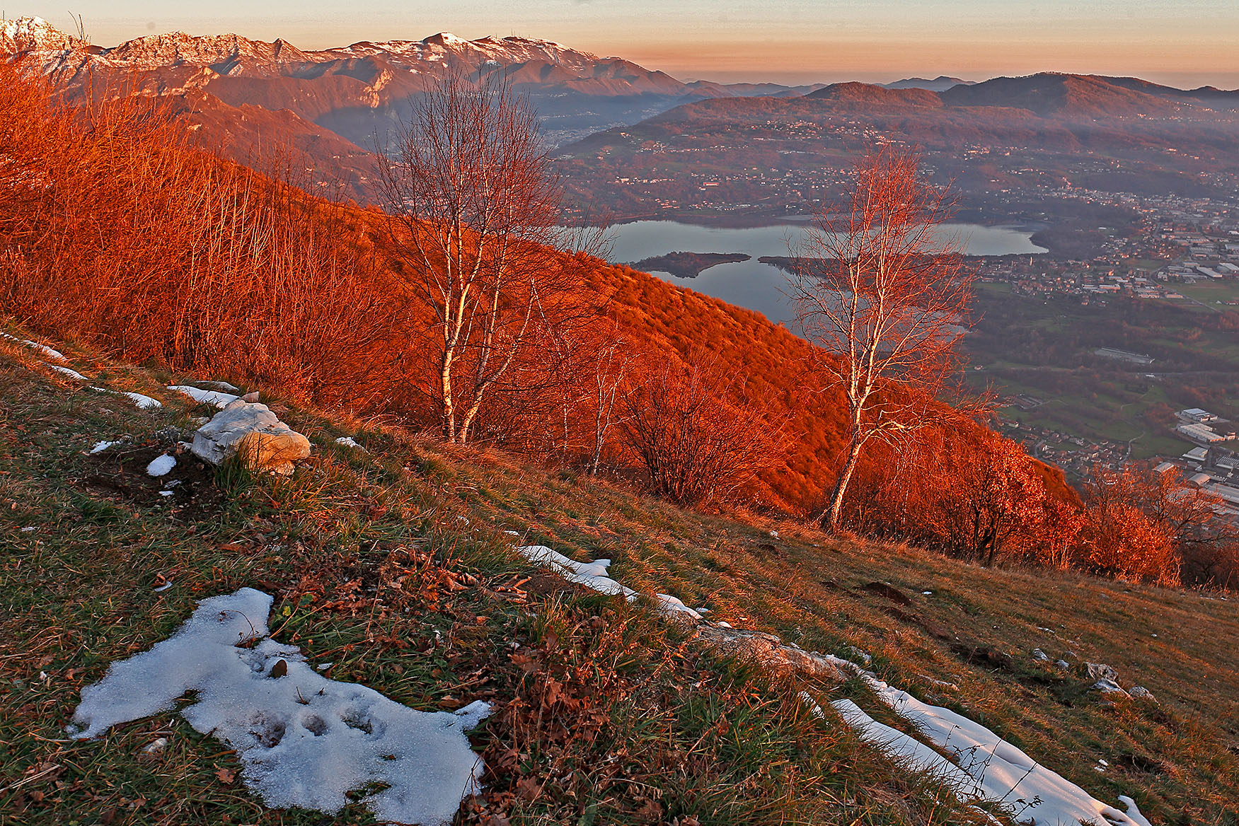 _MG_1486.jpg