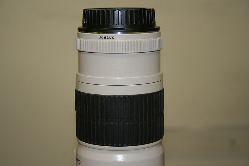 _MG_3778.JPG