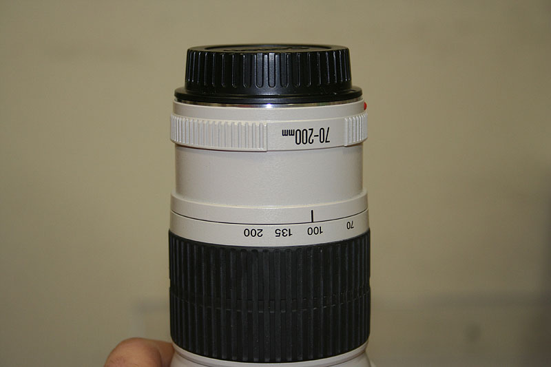 _MG_3780.JPG