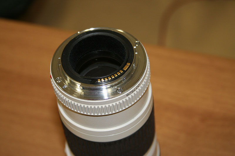 _MG_3782.JPG
