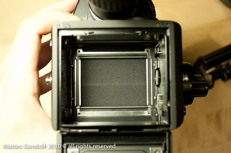 _MG_4010_Mamiya.jpg