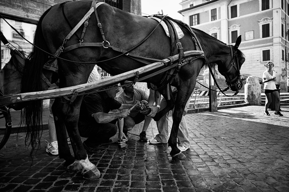 _MG_6602_bn.jpg