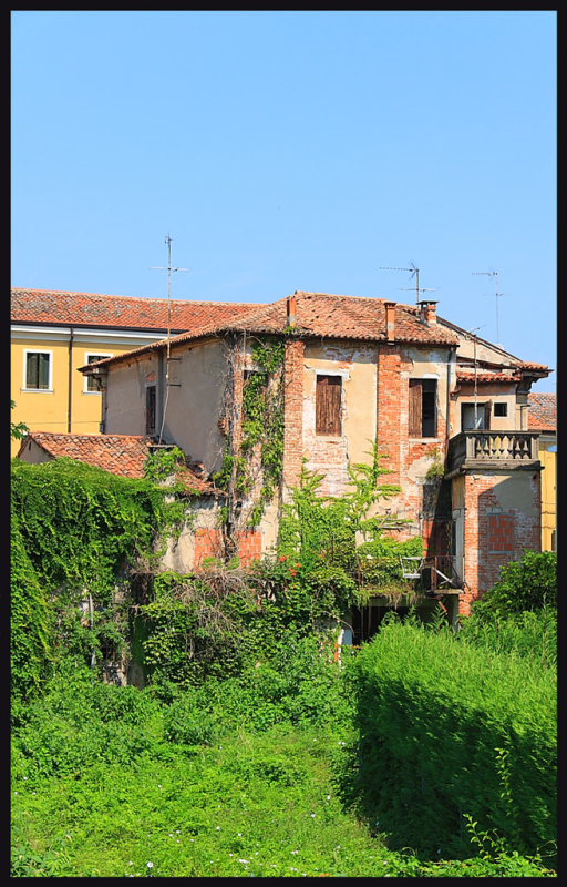 ABBANDONO-2.JPG