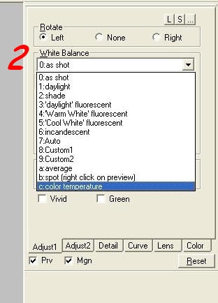 Adjust1 WB.jpg