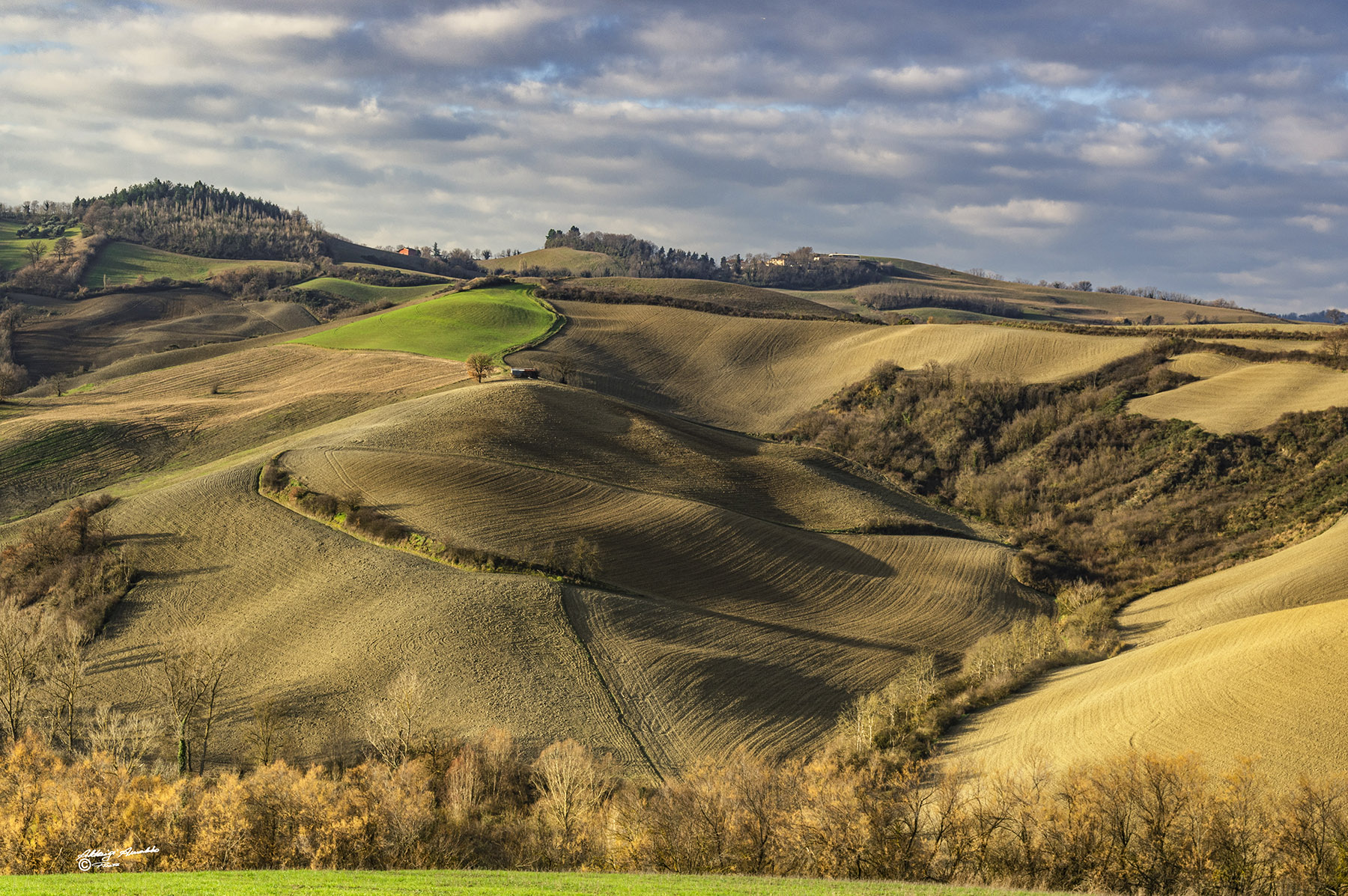 Alba Gabicce 29-12-2019-028.jpg