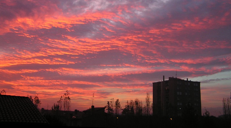 alba in citt� 2.jpg