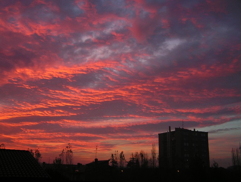 alba in città 2b.jpg