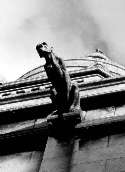 album_pic.php copia.jpg