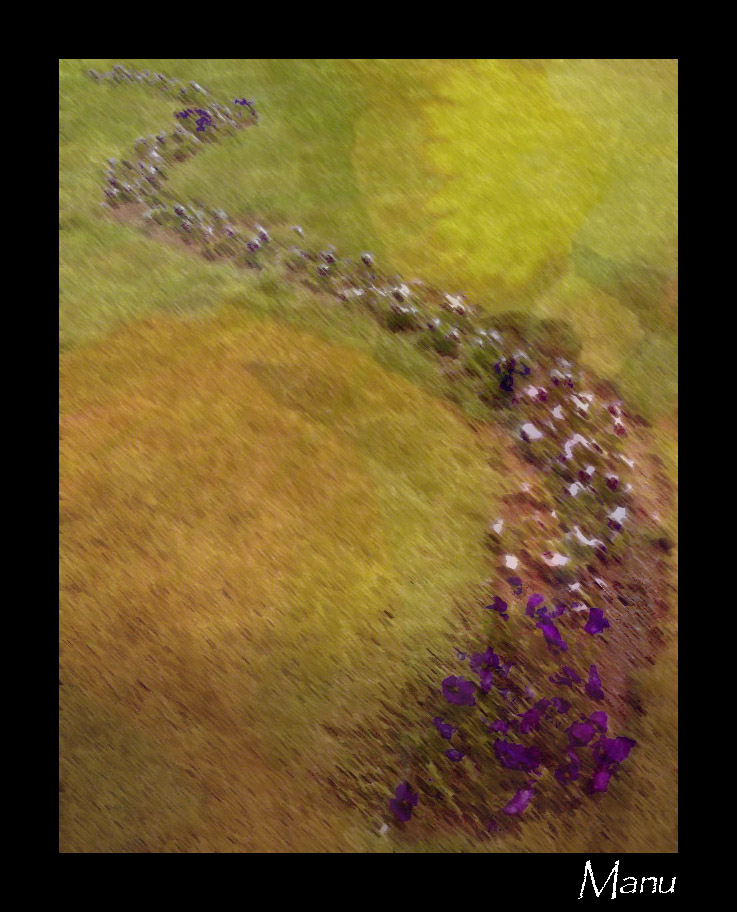 album_pic.php copia.jpg