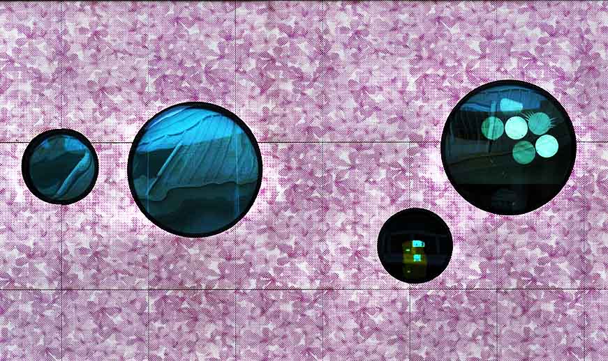 album_pic.php copia.jpg