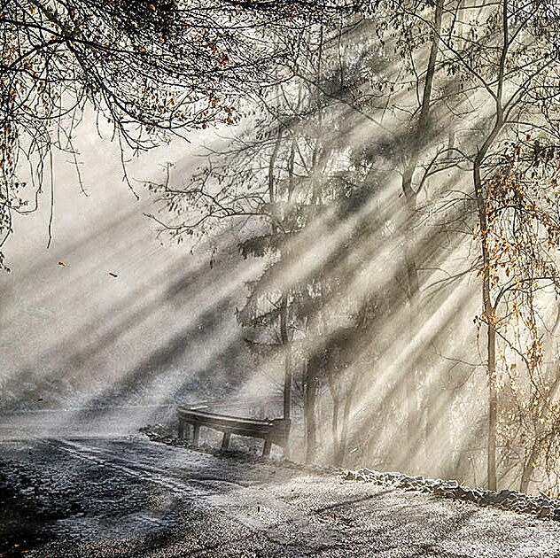 album_pic (1)-01.jpeg