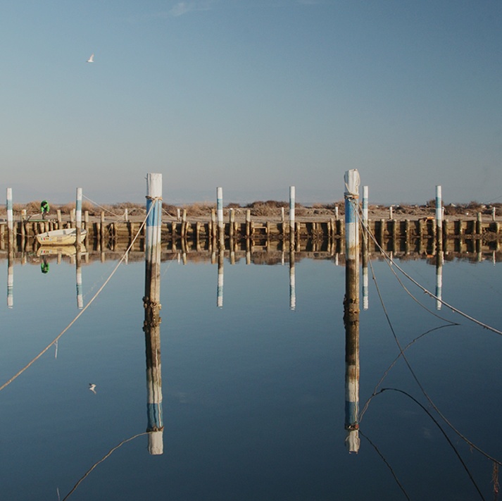 album_pic (2)-01.jpeg