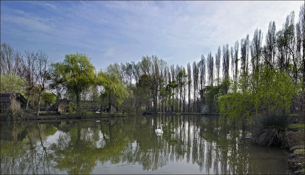 album_pic (3) copia.jpg