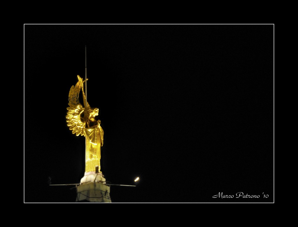 Angelo [1024x768].jpg